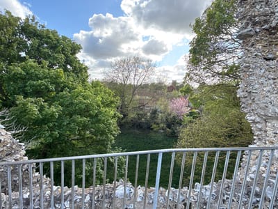The image captures a panoramic view from an elevated position, likely atop a historic stone wall or fortification, overlooking a verdant landscape. In the immediate foreground, a sturdy metal railing, appearing grey or galvanized, spans the lower part of the frame, with rough, light-colored stone and mortar visible below and to the sides.
Beyond the railing, a deep, overgrown area, possibly a moat or ditch, is densely covered in bright green grass and vegetation. The midground and background are dominated by a rich canopy of trees. To the left, a large tree boasts abundant, vibrant green leaves, indicating full foliage. Towards the center, another prominent tree features a network of bare branches against the sky, suggesting early spring growth or a specific tree type. On the right, a tree with soft pink blossoms adds a splash of color, reinforcing the impression of springtime.
Through gaps in the trees, glimpses of residential buildings with reddish roofs and light-colored walls can be seen. In the far distance, slightly right of center, a dark church tower or steeple rises above the tree line. The sky is partly cloudy, with bright blue patches interspersed with large, fluffy white cumulus clouds, illuminated by bright daylight, suggesting a clear day. No specific activity is occurring, and no text is visible. The scene evokes a sense of historical tranquility and natural beauty, consistent with the King's Lynn and West Norfolk area.