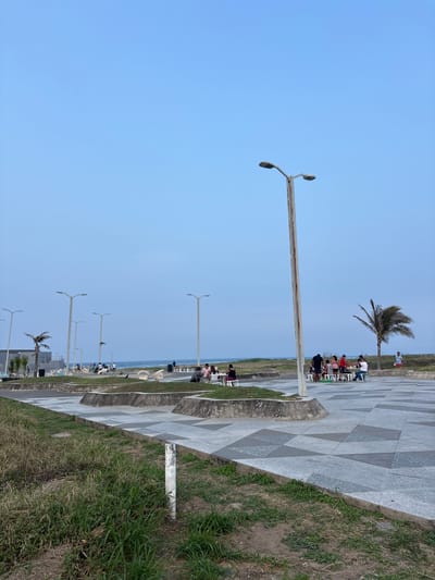 The image shows a sidewalk with a patterned gray and white surface, adjacent to a grassy area, running along the coastline in Veracruz, Mexico. The sky is a clear light blue. Numerous light poles line the sidewalk. People are seated in chairs near a palm tree on the sidewalk. In the distance, the ocean is visible.