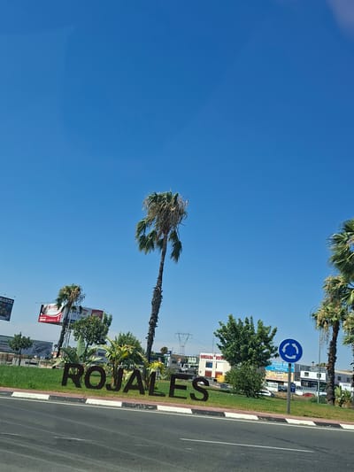 The image shows a clear blue sky over a roadside scene in Algorfa, Spain. In the foreground, a large road with white and red curbs is visible. A large, dark, three-dimensional sign spells out "ROJALES" in capital letters, positioned on a grassy area. Several palm trees are scattered throughout the scene, with two tall ones prominently featured. In the background, various buildings and billboards can be seen. One billboard advertises "LA MARQUESA GOLF & COUNTRY CLUB". A blue circular roundabout sign with arrows is also visible. The environment appears to be sunny and warm, typical of a Spanish summer. There are no people or animals in the frame.