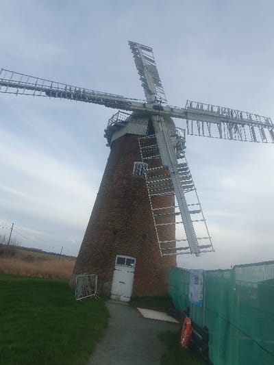 An outdoor scene captured under an overcast light grey sky depicts Horsey Windpump, a brick-built tower mill located in North Norfolk, United Kingdom. The structure features a conical red brick tower, tapering upwards, surmounted by a grey cap with an encircling external gallery. Four white, fantail-type sails are fixed to the cap, arranged with two rising towards the upper left and two descending towards the lower right, indicating a stationary state. A white, double-leaf wooden door provides access at the base of the tower, and small rectangular windows are visible on the brickwork.

A dark grey gravel path leads directly to the mill's entrance. To the immediate left of the path, a section of temporary metal crowd barriers is positioned on green grass. Further left, a wide field of dry, yellowish-brown reeds or grasses extends into the midground, with utility poles and overhead wires visible against the horizon. To the right of the path, green mesh construction fencing stands, behind which is a darker wooden fence. A red, circular lifebuoy hangs prominently on the wooden fence. Several information posters are affixed to the green mesh fencing. No individuals are present in the scene.