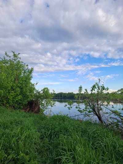 The image depicts a landscape scene in Дерезовка, Russia. The sky occupies a significant portion of the upper frame, with scattered clouds and patches of blue. A body of water, likely a river or lake, is visible in the center, with a line of trees or vegetation on the opposite bank. The foreground is dominated by lush green vegetation, including tall grass and shrubs. A fallen tree with exposed roots is situated along the bank. The scene suggests a natural environment, possibly a park or rural area within or near Дерезовка. There are no people visible in the image.