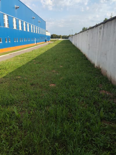 The image shows a long, low-lying grassy area adjacent to a concrete wall. To the left, a bright blue industrial building with orange trim and numerous windows is visible. A paved path runs alongside the building. The sky above is partly cloudy. The scene appears to be an outdoor industrial or commercial area, likely located in the city of Shklov, Belarus. There are no people or animals visible in the image.