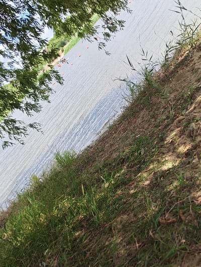 The image depicts a body of water, likely a river or lake, in the city of Belaya Kalitva, Russia. The water surface is rippled and reflects the sky. In the mid-ground, a person is visible in a small boat, appearing to be engaged in rowing or a similar water activity. Several orange buoys are scattered across the water, suggesting a designated course or area for water sports. The shoreline in the foreground is covered with dry grass and sand, with some sparse green vegetation. Overhanging branches with green leaves from a tree partially obscure the upper left portion of the image. The overall scene suggests a recreational activity taking place in a natural outdoor setting.