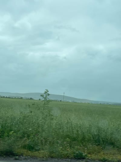 The image depicts a rural landscape under an overcast sky, likely in Krushare, Bulgaria. A field of tall green grass occupies the right side of the frame, bordered by a rough edge, possibly a road. In the distance, layered mountains fade into the hazy atmosphere. An electrical pole stands in the middle distance. A sparse tree is located near the middle ground. The sky is uniformly gray, suggesting rain or heavy cloud cover. No people or animals are visible.
