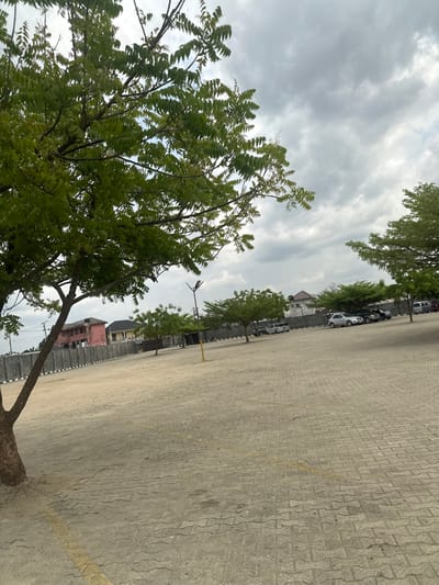 The image displays an expansive outdoor paved area, likely a parking lot or plaza, located in Ozuaha, Nigeria, under an overcast sky. The foreground features a large tree with green foliage on the left, partially obscuring the upper left corner of the frame. The ground is surfaced with light-colored interlocking concrete pavers, exhibiting faint yellow line markings consistent with parking space delineation.
In the midground, the paved area extends towards a perimeter wall composed of light grey concrete blocks topped with black and white striped bollards. Several smaller trees with green canopies are evenly distributed across this paved expanse. A black street light pole equipped with a solar panel and a yellow base is visible to the left-center.
Beyond the perimeter wall, the background reveals various structures and parked vehicles. On the far left, a two-story building with reddish-pink walls and a dark roof is partially visible. Further right, other lighter-colored buildings are present. A line of vehicles, including cars and SUVs, is parked behind the wall and smaller trees on the right side of the frame. The sky is predominantly grey, covered with dense clouds. No individuals or discernible actions are present within the scene.