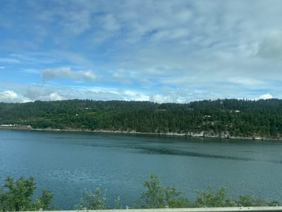 A wide, still body of water in a fjord is shown, with a heavily wooded, hilly shoreline on the opposite side. The water is a deep blue-green, with gentle ripples. The shoreline is covered in dense evergreen trees, with occasional clearings revealing houses and structures nestled among the trees. The sky above is a bright blue, with scattered white clouds. In the foreground, a low barrier, possibly a guardrail, is visible, with green foliage peeking over it. The scene conveys a sense of natural beauty and tranquility. The location is identified as a fjord in Norway.
