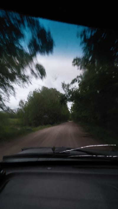 This media file depicts a blurred, motion-filled view from inside a vehicle traveling down a dirt road in Lesnoi, Russia. The primary subjects are the natural surroundings, including lush green trees lining the road and a bright sky reflected in the vehicle's window. The motion blur suggests the vehicle is in transit, likely at a moderate speed, on a cloudy day. The dirt road is visible stretching into the distance, flanked by dense foliage. The sky, a blend of blues and greys, indicates overcast conditions or possibly a very early morning or late afternoon. The reflection on the window shows distorted trees and the sky, adding to the sense of movement and passage. There are no people or explicit objects other than those implied to be part of the vehicle. The overall impression is one of a journey through a natural, possibly rural or forested, landscape. The atmosphere is serene and natural, with no indication of urgency or distress. The image does not contain any visible text.