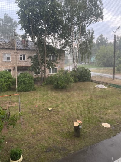 The image captures a view from a window, looking out onto a grassy area with a few trees and a multi-story brick building. The scene appears to be outdoors, with a slightly overcast sky, suggesting it might be daytime. There are no people visible in the image.
Several objects are present in the scene. In the foreground, there is a screen, likely from the window. Beyond that, there's a tall tree with white bark, possibly a birch, with branches extending across the frame. The brick building has multiple windows, some of which are clearly visible. On the grassy area, there are tree stumps, one with some colorful decorative elements on top, and another with what looks like a bucket and some flowers or greenery. A small pink ball is also visible on the grass. A metal pole with wires is present in the lower right portion of the image. In the background, a road and more trees can be seen.
The weather appears to be damp or rainy, indicated by the wet appearance of the ground and possibly streaks on the screen. The overall mood is somewhat subdued, perhaps due to the weather. The location is identified as Dubrovka, Russia. The scene depicts a residential area, possibly a courtyard or park adjacent to an apartment building. No discernible text is visible within the image, except for a possible numeral on the building, which is too blurry to read.