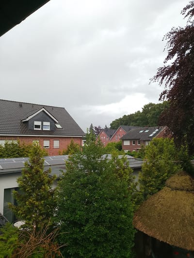 The image shows a residential area on an overcast day in Rheda-Wiedenbrück, Germany. In the foreground, there are various green trees and bushes, including some coniferous trees. To the right, a thatched roof structure, possibly a gazebo or garden shelter, is visible. Behind the trees and structure, several brick houses with dark tiled roofs are arranged in a row. Some of the houses have solar panels installed on their roofs. The sky is heavily clouded. No people are visible in the image.