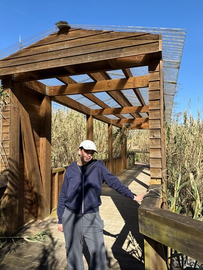 A person stands on a wooden boardwalk under a partial wooden and transparent corrugated roof structure in the Passadiços de Mira, Mira, Portugal. The individual wears a white baseball cap, a dark blue zipped hoodie, and dark grey sweatpants, with a white smart watch on their left wrist. They face slightly right, looking towards the camera, with their left hand resting on the wooden railing. Tall, dry reeds densely line both sides of the boardwalk, extending into the background under a clear blue sky. Strong sunlight casts sharp shadows from the structure and person onto the wooden path.