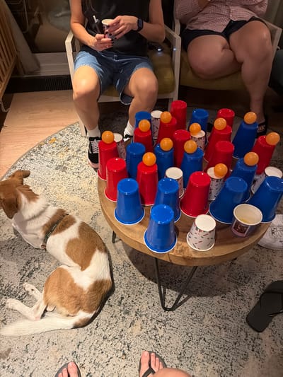 The image depicts an indoor scene, likely a living room, with a dog lying on a patterned rug near a wooden coffee table. The coffee table is laden with red and blue plastic cups, many of which have orange ping pong balls on top. A few decorative cups with patterns are also present. Two individuals are partially visible, seated in chairs. One person on the left, wearing denim shorts and a black t-shirt, holds a cup and appears to be holding a straw. The other person, on the right, is wearing a pink plaid shirt and black shorts. The flooring appears to be wood and carpet. The presence of a dog, party cups, and ping pong balls suggests a casual social gathering or game. The image's context has been digitally altered to include the location "Heijen, Netherlands," which is not verifiable from the visual information presented.