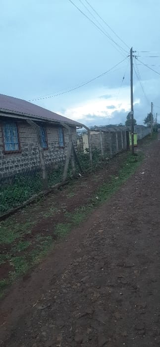 A rural scene features a weathered building with blue-framed windows alongside an unpaved road. The building is constructed from cinder blocks, and a fence stretches along its perimeter. Above, electrical poles and wires extend into a light blue sky scattered with faint clouds. The ground is a mix of soil and sparse greenery. A wall runs parallel to the road and building.