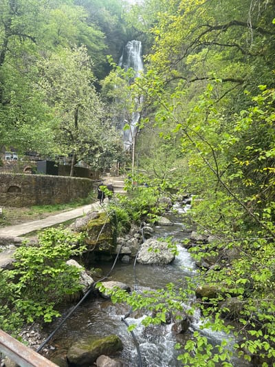 A medium-angle, eye-level shot shows Kveda Makhuntseti Waterfall and its immediate surroundings in Kveda Makhuntseti, Georgia. The landscape is lush, with abundant greenery from trees and plants, primarily featuring shades of green. A stream flows vigorously with white water, its course visible in the upper right of the shot. The foreground consists of dense foliage that blurs the edges, framing the scene.
A stone pathway runs through the middle of the image, with a low stone wall on one side and more greenery on the other. In the distance, the waterfall is visible, partially obscured by vegetation. A metal railing is visible in the bottom right corner.
There are no people visible. A utility pipe runs alongside the creek.