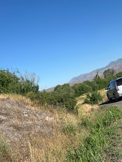 The image depicts a roadside scene in a rural, mountainous area, likely within the vicinity of Malishka, Armenia, characterized by a clear blue sky. In the foreground, a dry, rocky incline is covered with sparse, golden-brown dry grass and some scattered green vegetation. The middle ground is dominated by dense green foliage, including trees and bushes, with some dry, leafless branches visible. Further back, a silver minivan is parked on a paved road that curves to the right. The road is bordered by more green vegetation and dry grass. In the background, a large, rugged mountain range with muted gray and brown tones stretches across the horizon, its slopes covered in sparse vegetation. A power transmission tower with visible lines can be seen amidst the trees. The overall impression is a landscape viewed on a sunny day, suggesting an outdoor excursion or travel.