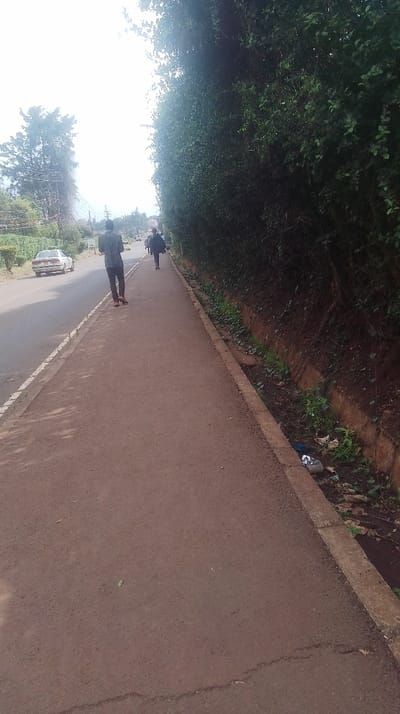 A sidewalk, lined with a dense green hedge on one side, runs alongside a road with a white car and two people walking. The sidewalk, reddish-brown, appears to be asphalt, while the road is a darker asphalt. Debris is present in the drainage ditch between the sidewalk and the hedge. A man in dark clothing walks towards the camera, and a figure in a dark coat walks further down the sidewalk. Overhead power lines and utility poles are visible.