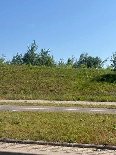 The image displays a roadside scene in the Drachkovsky Selsoviet, Belarus, under a clear, bright sky, suggesting daytime with fair weather. The main subjects are a paved road with white lane markings, bordered by a grassy verge and a steep, overgrown embankment. The embankment is covered in dense green vegetation, interspersed with small white wildflowers. Trees with lush green foliage line the top of the embankment and extend into the background. The road appears to be a dedicated path, possibly for cycling or walking, given its narrowness and the adjacent paved areas. The overall impression is one of a natural, somewhat wild setting adjacent to a man-made path. No people or specific activities are depicted, creating a sense of stillness and tranquility. The focus is on the natural landscape and the infrastructure that runs through it.