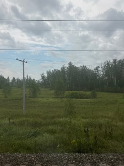 The image depicts a rural landscape with a field of tall grass and a line of trees in the background. A telephone pole stands in the middle of the field, with power lines stretching across the sky. The sky is overcast with clouds. The foreground shows a gravelly area, possibly a railway track. The location is identified as Maslyanskii, Russia. There are no people or animals visible in the image. The overall scene suggests a remote, natural setting.