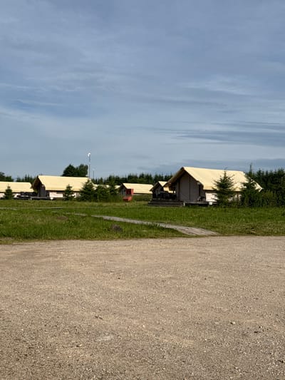 The image depicts a glamping site with several canvas tents with yellow roofs, each raised on wooden platforms, situated in a grassy area with trees in the background. A gravel path or road is visible in the foreground. In the mid-ground, a wooden walkway extends through the grass towards the tents. The sky is overcast with light clouds. The location is identified as Zamosh'e (Zaklinskoe S/P), Russia.
