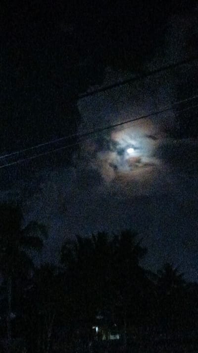 The image is a nighttime outdoor shot, likely taken in Palohlada, Indonesia, featuring a moon partially obscured by clouds. In the foreground, silhouetted trees, possibly palm trees, are visible, suggesting a tropical or subtropical environment. Power lines are stretched across the upper portion of the frame. In the lower part of the image, a small, indistinct structure with a light on is faintly visible amidst the trees. The overall impression is one of a quiet, possibly rural or suburban, night scene.