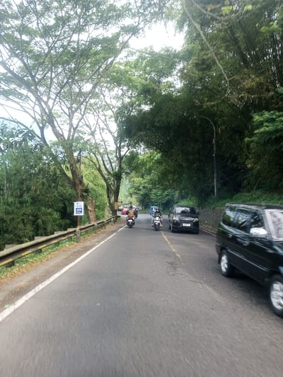The image depicts a two-lane asphalt road in Sat Thay (East), Myanmar, characterized by heavy green vegetation on both sides under an overcast sky. The road surface appears dry with a dashed yellow center line and a solid white line marking the left edge.
On the left side, a dirt shoulder abuts a yellow and dark gray metal guardrail. Beyond the guardrail, dense green foliage, including trees with prominent trunks and a thick canopy, lines the road. A blue-and-white sign on a pole, displaying "2023" and indistinct text, is positioned near the guardrail.
On the right side of the road, a thick wall of tall bamboo and other green trees forms a dense canopy. A dark street light pole with a curved arm is visible against this vegetation.
Traffic on the road is moving away from the viewer. In the midground, a dark-colored motorcycle with a single helmeted rider is present, followed by a lighter-colored scooter with another helmeted rider. Ahead of these, a black minivan or SUV is positioned on the right side of the lane, with a partially visible license plate beginning with "B 5985". Further down the road, a blue vehicle is partially visible. In the immediate foreground on the far right, the front half of another black minivan or SUV is visible, appearing to be in motion, indicated by slight wheel blur. Multiple vehicles are visible in the distant background, their details indistinct.