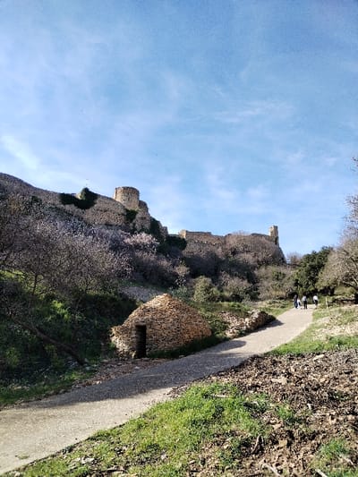 This outdoor photograph captures a scenic view of an ancient stone fortress or castle perched atop a hillside, with a winding path and a unique stone structure in the foreground.
The sky, occupying the upper portion of the image, is a vibrant, clear blue with scattered wispy white clouds, suggesting fair weather. Bright sunlight illuminates the scene.
On the left side, a steep, tree-covered hillside rises, leading up to the impressive stone fortifications. The trees on the hillside appear mostly bare or with very sparse foliage, indicating either late winter or early spring. Some of these trees show very small, light-colored dots, possibly early blossoms. The stone walls of the fortress are rugged and weathered, featuring both round and square towers or bastions. Patches of dark green ivy or other climbing vegetation cling to the stone, particularly around the leftmost tower where a small, light-colored flag is visible.
In the mid-ground, a light-colored, possibly gravel or paved, path curves from the lower-left, diagonally across the image, and then upwards towards the right, following the contour of the hill. On the right side of the path, further up, a small group of three to four people can be seen walking away from the viewer, appearing to be explorers or hikers enjoying the historical site. They are dressed casually.
Dominating the lower-left mid-ground is a distinctive, conical-shaped stone hut, built with stacked, unmortared flat stones, often referred to as a "bories" or dry-stone cabin. It has a small, dark, rectangular entrance facing slightly to the right. The ground around this hut is a mix of green grass and rocky terrain.
The immediate foreground features patches of bright green grass contrasting with areas of dry, dark brown earth and scattered debris, particularly on the lower right. Shadows are cast by the trees and the stone hut, indicating the sun is relatively high, likely late morning or early afternoon. No discernible text is visible in the image.