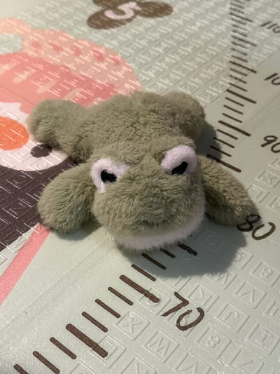 A plush green frog toy is lying on a light green mat with a ruler-like pattern. The frog has white eyes with black pupils and a fuzzy texture. The mat has brown markings that resemble numbers and lines, with some larger patterned shapes in pink and brown in the background. The scene is well-lit with a slight shadow cast by the frog. There are no people visible in the image.