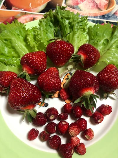 A close-up, overhead shot captures a light green and white ceramic plate filled with strawberries and lettuce. The strawberries are of two sizes: larger, ripe red ones with visible seeds and smaller, wild strawberries. A few leaves of bright green lettuce are arranged behind the larger strawberries. The plate itself has a decorative border featuring an abstract design of orange and black. The background is blurred, but appears to be a surface with an image of fruit, possibly watermelon or strawberries, in shades of pink and orange. The scene is brightly lit, highlighting the vibrant colors of the fruit and lettuce. The image does not depict any specific location in Staroe Istomino, Russia, nor does it contain any people or actions.