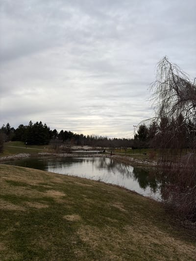 The image depicts a landscape with a body of water, likely a pond or lake, bordered by vegetation and grassy areas. The sky is overcast with striated clouds. A bare tree with thin, hanging branches is visible in the upper left corner. The water reflects the sky and the trees along its bank. A grassy bank slopes downward towards the water's edge. In the distance, a line of trees can be seen. There are structures similar to boardwalks in the water.
Based on available information, the image may be taken from a location in Woodstock, Ontario, Canada, such as Southside Park, but specific location information in the image is unknown.