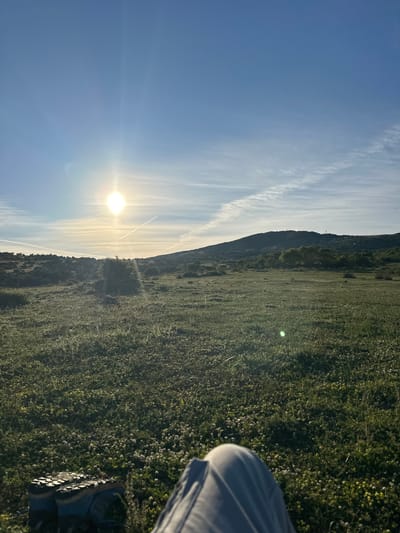 A landscape photograph, taken during daylight hours, features a low-angle shot oriented vertically. The sky occupies the left side, transitioning from a deep blue near the lower left to a paler shade closer to the horizon. Wispy clouds and contrails are visible. The sun, positioned near the center of the frame, radiates brightly.
A large, grassy field spans the right side of the image, densely covered with vegetation. Patches of light are visible on the ground, suggesting sunlight filtering through the foliage. A dark outline of a hill or mountain is visible in the distance between the sky and the field.
In the lower right corner, a portion of a person's clothing and footwear is visible. The clothing appears to be light-colored fabric, and the shoe suggests the person may be sitting down.
There is no indication of the location being the city of Emona, Bulgaria.