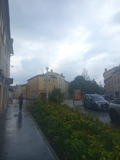 The image depicts a street scene in Nancy, France, under an overcast sky. A person is walking away from the camera on a wet sidewalk, their reflection visible on the damp pavement. The street is lined with buildings of varying architectural styles, some appearing older with stone facades and shutters, while others are more modern. A prominent feature is a tall street clock with a circular face displaying Roman numerals. There is a flowerbed with a variety of colorful flowers and greenery along the sidewalk. Several parked cars are visible on the street, including a dark-colored van and a lighter-colored SUV. A large sign with orange text that reads "GUIN GUE TTES" is posted on the side of the road. The overall atmosphere suggests a moderately urban environment experiencing inclement weather.