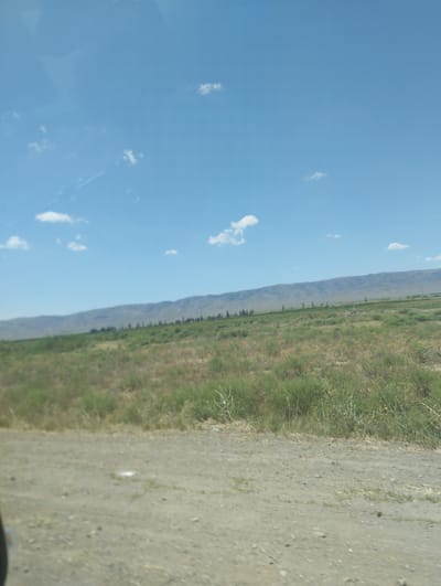 The image depicts a rural landscape with a dirt road in the foreground and a vast, grassy plain stretching towards a distant mountain range under a clear blue sky with scattered white clouds. The terrain appears arid, with sparse vegetation covering the plains. A line of trees can be seen along the foothills of the mountains. The overall scene suggests a remote, undeveloped area, consistent with the rural outskirts of a city like Egizbulak in Uzbekistan.