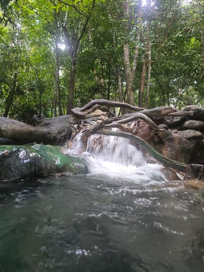 The image depicts a natural waterfall cascading over rocks and tree roots in a lush, green forest. The water is clear and flows rapidly, creating a frothy white appearance where it tumbles down. The surrounding vegetation is dense, with tall trees and vibrant foliage creating a canopy overhead, allowing dappled sunlight to filter through. The rocks are rough and textured, some covered in moss or algae, suggesting a damp and humid environment. Twisted tree roots are prominently featured, intertwining with the rocks and seemingly supporting the waterfall's structure. The water collects in a pool in the foreground, appearing dark and reflective. The scene evokes a sense of tranquility and the raw beauty of nature. The sunlight filtering through the leaves suggests it is daytime, likely during clear or partly cloudy weather. The location context, Tambon Khlong Thom Nuea, Thailand, implies a tropical or subtropical environment. No people or visible text are present in the image.
