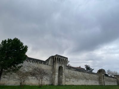 The image displays an external view of the historic city walls, or ramparts, of Avignon, France, under an overcast sky. A long, light-colored stone wall, constructed from block masonry, extends across the middle ground. The wall features a crenellated parapet along its upper edge and is punctuated by defensive turrets with arched openings. The turret on the left is largely intact, while the turret on the right shows signs of damage or disrepair at its upper section. In the foreground, a strip of green grass lies at the base of the wall. A tall, dark green coniferous tree stands on the far left, partially obscuring the wall. Two smaller, bare deciduous shrubs are positioned closer to the wall. Beyond the wall, a building with a red-tiled roof and several bare trees are partially visible. The sky is uniformly covered by dense, grey clouds. No individuals, actions, or interactions are depicted in the scene.