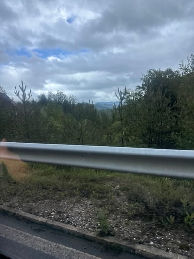 The image shows a view from a vehicle moving along a road. A grey metal guardrail is prominent in the foreground. Beyond the guardrail, there is a steep, overgrown slope covered in green vegetation and trees. In the distance, there are obscured mountains fading into a cloudy, overcast sky with a hint of blue. The location is possibly near Liaskovo, Bulgaria.