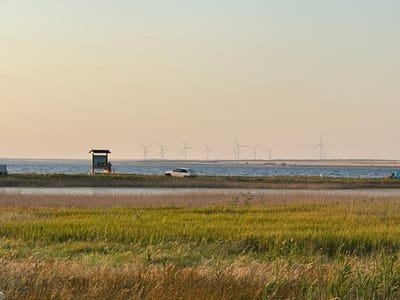 This media file depicts a serene landscape scene with a body of water and a vast, grassy field in the foreground. In the mid-ground, a calm blue body of water stretches across the frame, with a narrow strip of land separating it from the foreground. Along this strip of land, a wooden information kiosk stands, with two figures nearby. To the left of the kiosk, a light-colored sedan is parked. The background features a distant horizon with numerous wind turbines dotting the landscape under a clear, pale sky.
The scene appears to be set during the late afternoon or early evening, indicated by the soft, warm light and the gentle gradient of the sky from a light yellow to a pale blue. The weather seems pleasant and calm, with no visible clouds or wind activity affecting the water's surface.
The foreground is dominated by tall, dry grasses and reeds, suggesting a natural wetland or marshy area. The overall impression is one of tranquility and open space, possibly a nature reserve or a coastal area. The presence of the information kiosk and the figures suggest this might be a visitor area or a viewpoint. The wind turbines in the distance hint at the location being in an area with renewable energy infrastructure. No visible text is present in the image.