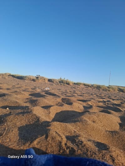 The image, correctly oriented, depicts a clear, bright blue sky dominating the upper portion of the frame, meeting a sandy landscape below. The lower half features a light brown sandy beach or dune area, marked by numerous footprints and distinct, elongated shadows, indicative of a low sun angle in either early morning or late afternoon. Along the horizon line, a band of sparse, dry-looking grass and shrubbery grows, characteristic of a coastal dune environment. A thin, dark pole or stake rises vertically from this vegetation layer on the left side of the frame. Closer to the viewer, a small piece of light-colored litter is visible on the sand. On the far right, a textured blue fabric, possibly a towel or beach bag, partially enters the frame. There are no people visible. The weather appears clear and sunny, contributing to a serene atmosphere. The location cues, including sand, sparse vegetation, and clear sky, are consistent with a beach or coastal area in the Gazi Municipal Unit, Greece. The text "Galaxy A55 5G" is clearly visible, oriented vertically, on the blue fabric in the bottom right portion of the image.