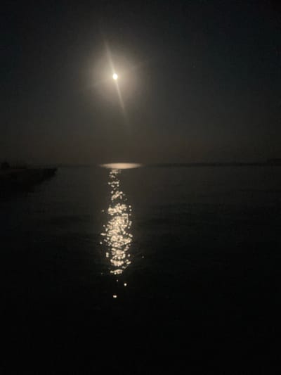 The image shows a body of water at night, with the moon visible in the sky. The moonlight reflects on the water, creating a shimmering path. There is a dark landmass on the left side of the image, which appears to be a shore or a dock. The overall scene is dark and serene, with the moonlight being the main source of light. The location is identified as within the Schedovetskyi village council, Ukraine.