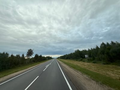 The image depicts a two-lane asphalt road with white dividing lines, receding into the distance. The road is bordered on the left by a grassy verge and dense green trees, with two distinct birch trees standing out amongst them. On the right side, the road is also flanked by a grassy verge and a field of cut hay, followed by a dense line of dark green trees. The sky above is overcast with a thick layer of grey clouds. In the far distance, a single white vehicle is visible on the road, and there are some roadside signs visible on both sides of the road. A square billboard is also present amongst the trees on the right side of the road. The scene appears to be a rural or semi-rural setting outside of a city. The provided location of Бабаново, Russia, suggests a regional road within this area.