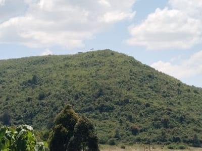 The image displays a natural landscape within Waseges ward, Kenya. A prominent, large hill dominates the central and upper portions of the frame, its slopes densely covered with varied green foliage consisting primarily of scrub and small trees. The hill crest shows a slightly less dense distribution of vegetation. Above the hill, the sky is light blue with scattered white cumulus clouds. In the foreground, partially obscured large green leaves are visible on the left side. The bottom right foreground features dry, light-brown ground with sparse vegetation and two faint, dark, vertical elements. No human individuals, animals, or discernable man-made structures are present within the scene.