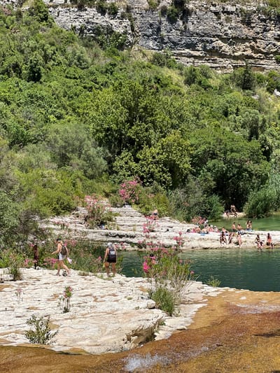 The image depicts a scenic natural landscape, likely a river or gorge, with people enjoying the water. The environment is characterized by lush green vegetation covering the slopes of a rocky cliff face that dominates the background. The foreground features light-colored, textured rock formations, some of which are wet and glistening, suggesting their proximity to the water. A body of clear, turquoise water occupies the middle and right portions of the image.

Numerous individuals are present, scattered along the rocky edges of the water and in the water itself. Some are sitting or lounging on the rocks, while others appear to be wading or swimming. The people are dressed in swimwear and casual summer clothing, indicating a recreational setting. Several individuals are seen walking along the rocky bank, some carrying backpacks.

The scene is further enhanced by bursts of vibrant pink flowers, likely oleander, growing amongst the rocks and vegetation, adding a splash of color to the otherwise predominantly green and rocky landscape. In the far background, the sheer rock face is layered and rugged, suggesting a geological formation. The overall impression is one of a popular natural bathing spot, possibly a destination within or near the city of Noto, Italy, known for its beautiful Baroque architecture and surrounding natural beauty. The sunlight appears to be bright, casting distinct shadows and highlighting the textures of the rocks and water.