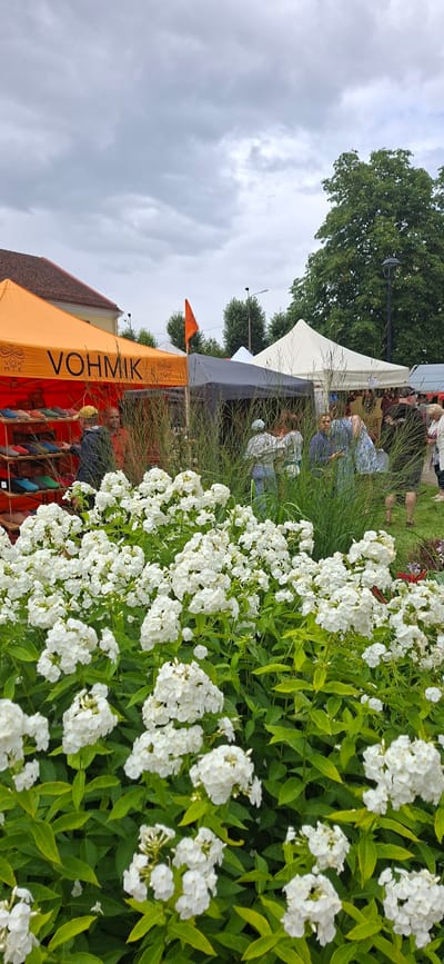 In Viljandi, Estonia, a market stall with an orange canopy displays rows of colorful shoes. The canopy is branded with "VOHMIK" and a logo. Behind the stall, several people are milling about under a white tent. In the foreground, a dense cluster of white flowers with green leaves dominates the scene, partially obscuring the market activities. The sky is overcast, suggesting a cloudy day. The scene appears to be an outdoor event or festival.