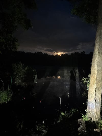 The image depicts a nighttime scene at a body of water, possibly a lake or pond, reflecting a partial moon and surrounding clouds. Silhouetted trees line the opposite bank. Vegetation is visible in the foreground. There are indications of fishing lines and possibly fishing equipment. The location is presumed to be in or near Krasnyi Jar, Russia.