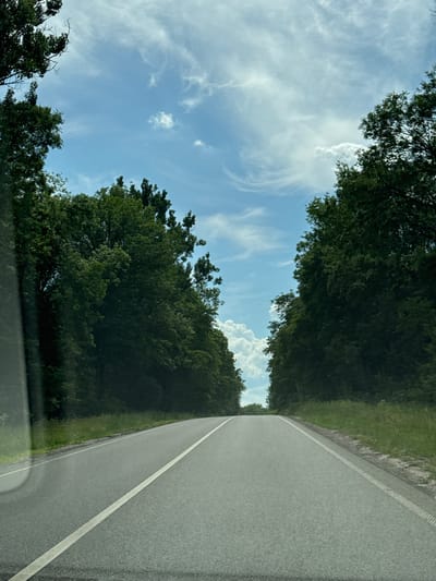 The image shows a paved road curving to the right, bordered by dense green trees on both sides. The sky above is a clear blue with scattered white clouds. The perspective suggests the photo was taken from a moving vehicle, looking forward and slightly upwards. The road has a white line marking its center. Sunlight filters through the trees, casting some shadows. The overall scene is peaceful and natural, likely taken during the daytime on a clear day. No people, objects, or visible text are apparent in the image. The location context provided is Ploske, Ukraine.