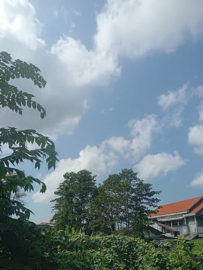 The image depicts a partially overcast sky with scattered white clouds against a pale blue backdrop. In the foreground, lush green foliage, including branches with serrated leaves, dominates the lower left portion of the frame. To the right, a building with a prominent orange tiled roof is visible, partially obscured by dense vegetation. The building appears to be a residential or commercial structure with multiple windows and a weathered exterior. Two trees with dense green canopies stand between the foliage and the building. The scene is situated in Sawotratap, Indonesia.