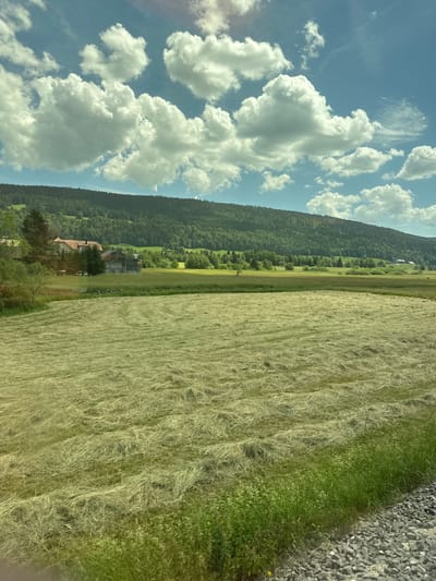 The image depicts a rural landscape in the vicinity of Le Sentier, Switzerland. In the foreground, a mown field is visible, with rows of cut hay spread across it. A strip of green grass and a gravel embankment runs along the bottom right of the frame. Further back, several buildings with red-tiled roofs are situated amongst trees. Beyond the buildings, a dense, green forest covers the slopes of a hill that rises to meet a bright blue sky dotted with white, fluffy clouds. The overall scene suggests a sunny day in a pastoral setting.