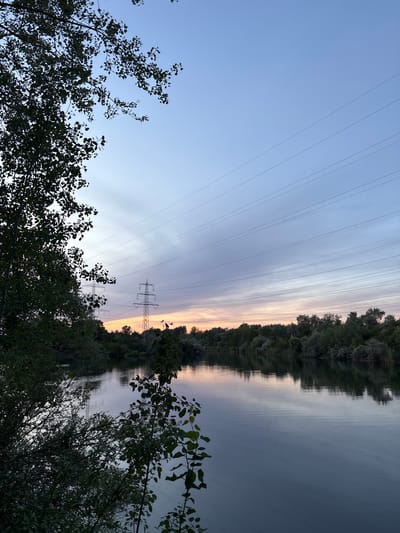 The image depicts a tranquil twilight scene at the Rheinschanze park in Ludwigshafen am Rhein, Germany. A body of water, reflecting the soft hues of the sky, dominates the foreground and midground. On the right bank of the water, a dense line of trees forms a natural border, with some foliage extending into the water's reflection. In the distance, two tall electricity pylons are visible, with power lines stretching across the sky. The sky itself is a gradient of colors, transitioning from a pale blue at the top to soft oranges and pinks near the horizon, indicating the setting sun. The left side of the image features the silhouette of lush green trees and branches against the sky. The overall atmosphere is serene and natural, with the man-made elements of the pylons and power lines subtly integrated into the landscape.