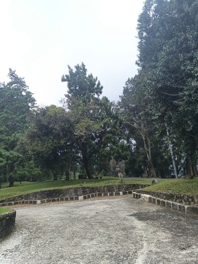 A concrete pathway leads through a park-like setting. The pathway is bordered by low stone walls. Beyond the walls is a grassy area with various trees, including evergreens. Further back, a road with a sign and a person can be seen. The sky is overcast.