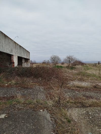 The image depicts an unoccupied, overgrown outdoor area in Klenovik, Bulgaria, under an overcast sky. The foreground consists of fragmented concrete or asphalt pavement intermingled with dry grass, sparse green vegetation, and brown moss. A partially constructed or derelict concrete building occupies the left side, featuring weathered, light grey concrete walls with visible exposed brickwork within rectangular openings. A single piece of twisted rebar or wire projects upwards from the structure's top edge near the center-left. The mid-ground is dominated by dense, dry, thorny bushes or brambles with brown foliage. Beyond these, two small deciduous trees with sparse, bare branches stand in an expanse of dry earth and patchy grass. The background reveals a flat, open land extending to a distant, low-lying range of hills or mountains obscured by haze. No human figures, animals, or active elements are present within the scene.