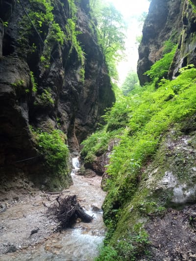The image depicts a narrow gorge with steep, rocky walls covered in lush green vegetation. A shallow, rocky stream flows through the bottom of the gorge, with a small waterfall visible in the distance. The light filtering from above suggests an overcast day or a shaded area. There are no people visible in the image. The scene is natural and undeveloped, with no signs of human construction or intervention, other than a cable running along the left wall which might be part of a trail or safety feature. The overall impression is one of a wild and remote natural landscape. The city of Khushto-Syrt, Russia, is a rural settlement in Dagestan, known for its natural landscapes and gorges.