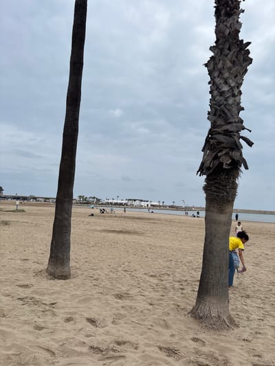 This media file captures a coastal scene on a cloudy day in Peníscola, Spain. Two prominent palm trees anchor the left side of the frame, extending vertically upwards. The closer tree has a textured trunk with visible leaf scars, while the second, further tree is darker and smoother.
A young person with dark hair, wearing a bright yellow t-shirt and blue jeans, is sitting on the lower trunk of the closer palm tree, facing towards the right. They appear to be resting or observing the surroundings.
To the right of the palm trees stretches a wide, sandy beach marked with numerous footprints. In the mid-ground, several other people are visible on the beach near the water's edge, some standing, others seated. One individual near the water wears a blue top and white shorts.
The right side of the image reveals a tranquil body of water, likely the sea, with a gentle waterline. Beyond the beach and water, a developed coastal area is visible in the background, featuring buildings, possibly a promenade, and additional palm trees lining the distant shore. On a white building in the far distance, faint text that appears to read "DUOMO ZAN" is partially discernible.
The sky is entirely overcast with soft grey clouds, indicating a cloudy daylight. The overall atmosphere is calm and leisurely, typical of a beach setting on a mild day.